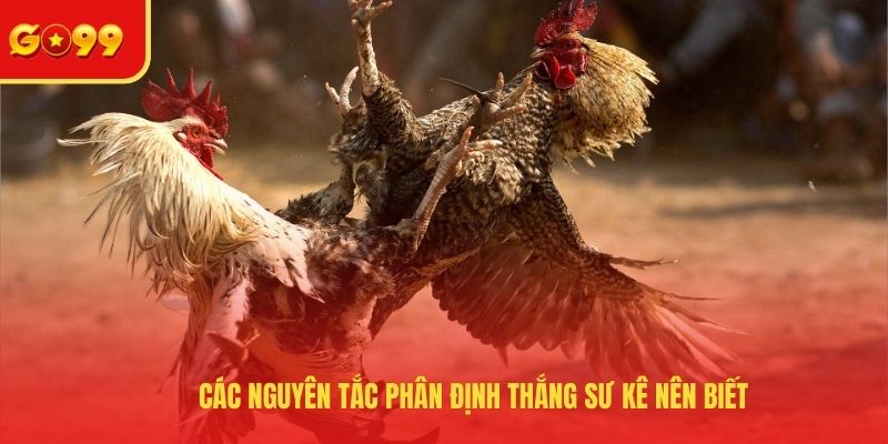 Các nguyên tắc phân định thắng sư kê nên biết