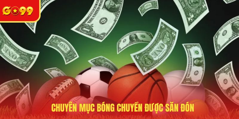 Chuyên mục cá độ bóng chuyền được săn đón